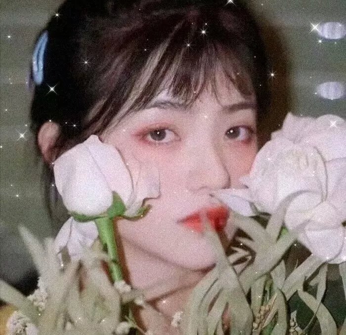 直立象传说